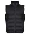 RG2054 TRA861 Regatta Honestly Made Recycled Insulated Bodywarmer Black colour image